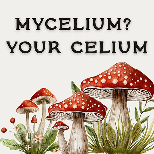mycelium? your celium