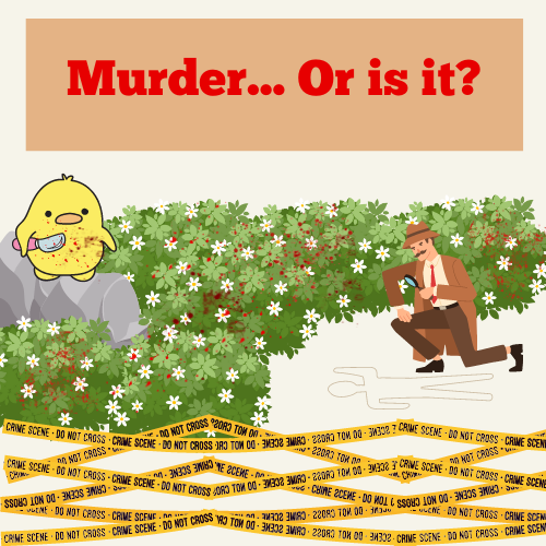 A Little Bit of Murder???