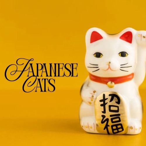 Japanese Cats