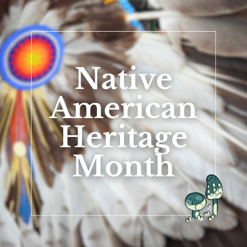 Native American Heritage Month