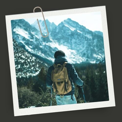 Bookseller Picks: For the Environmentalist